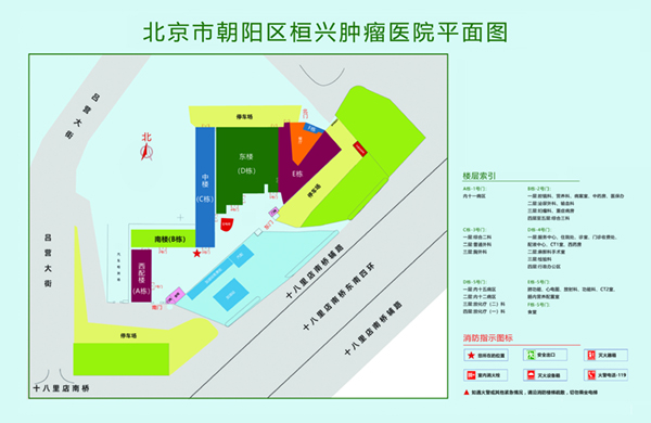 又插又舔的免费网站北京市朝阳区桓兴肿瘤医院平面图